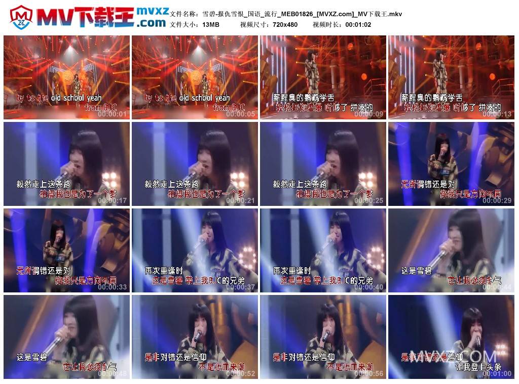 雪碧-报仇雪恨_国语_流行_MEB01826